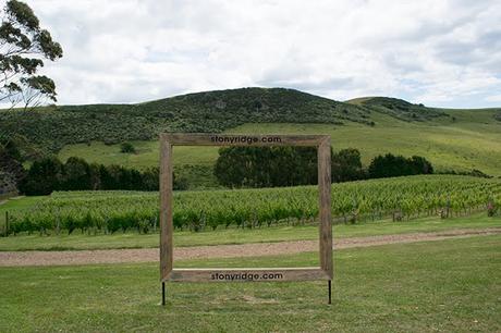 El vino en Nueva Zelanda y una cata en Waiheke El vino en Nueva Zelanda y una cata en Waiheke