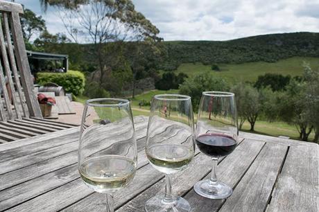 El vino en Nueva Zelanda y una cata en Waiheke El vino en Nueva Zelanda y una cata en Waiheke