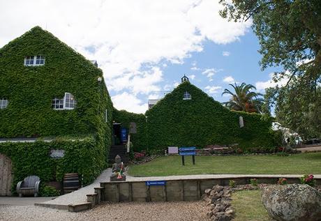 El vino en Nueva Zelanda y una cata en Waiheke El vino en Nueva Zelanda y una cata en Waiheke