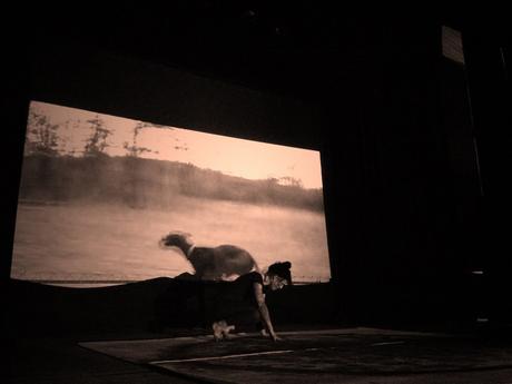 Rosana Antolí, My Animal Print. Video Performance. Video loop 5'19''. Felt 160 x 160 cm. Audio Stereo. Madrid, 2012, Cortesía: Rosana Antolí. Rosana Antolí, My Animal Print. Video Performance. Video loop 5'19''. Felt 160 x 160 cm. Audio Stereo. Madrid, 2012, Cortesía: Rosana Antolí.