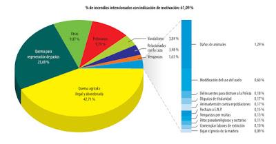El infierno en Asturies: ¿quién quema el monte y quién los ampara? El infierno en Asturies: ¿quién quema el monte y quién los ampara?