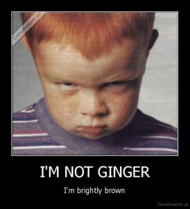 Balance Escocés o Farewell ginger_I am not