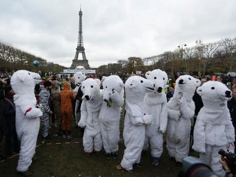 Conclusiones sobre la Cumbre del Clima de París (COP21) Activistas reivindicando pacíficamente el cuidado del Artico