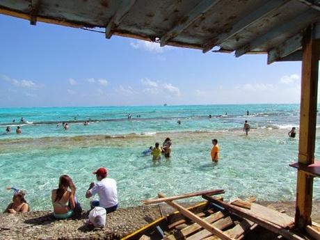 Acuario Cay. San Andrés. Colombia