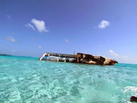 Acuario Cay. San Andrés. Colombia