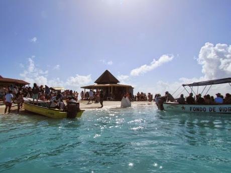 Acuario Cay. San Andrés. Colombia