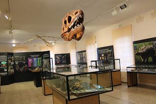 Aventura prehistorica en Atapuerca (Burgos).