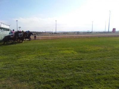 Mersad gana el premio Cruzcampo en el Hipódromo de Dos Hermanas