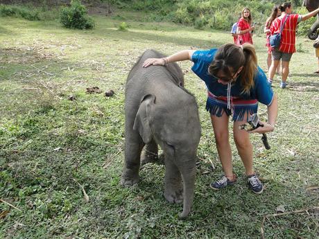 CHIANG MAI CHIANG MAI