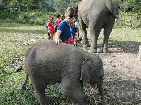 CHIANG MAI CHIANG MAI