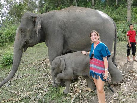 CHIANG MAI CHIANG MAI