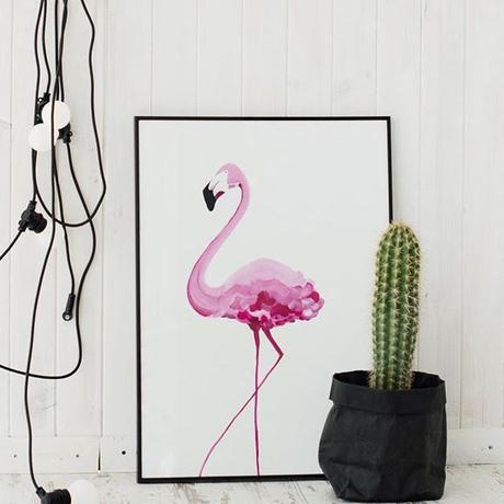 Los flamencos de Aviloti y el SORTEO de la semana!! Los flamencos de Aviloti y el SORTEO de la semana!!