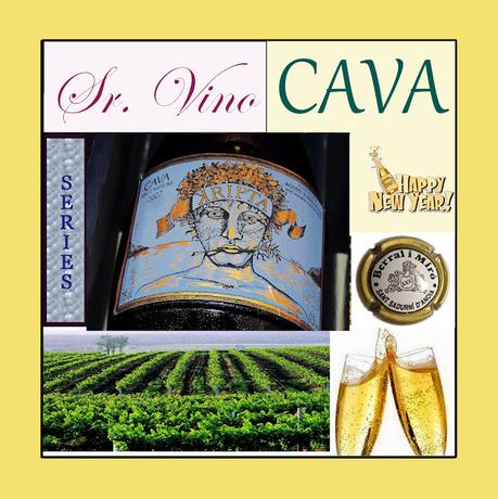 SERIES - Sr. Vino - Cava