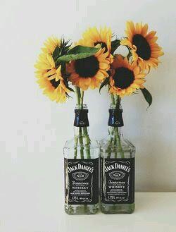 IDEAS BOTELLAS