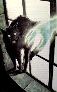 Reseña - La Casa En Los Confines De La Tierra Reseña - La Casa En Los Confines De La Tierra