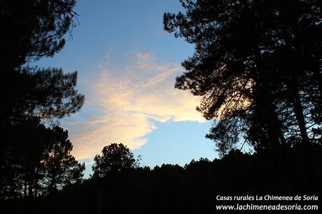 atardecer pinares soria espeja