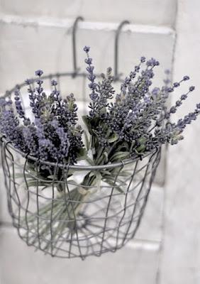 Canela y Lavanda para despedir el año Canela y Lavanda para despedir el año