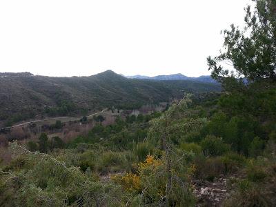 En tierras granaínas