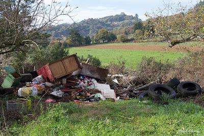 Monte limpio, monte sucio Monte limpio, monte sucio