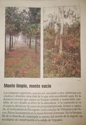 Monte limpio, monte sucio Monte limpio, monte sucio