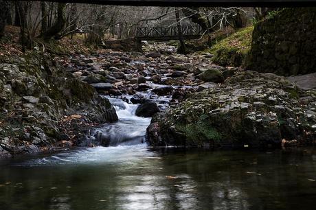 Reserva Saja-Besaya, Cantabria