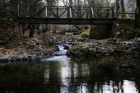 Reserva Saja-Besaya, Cantabria