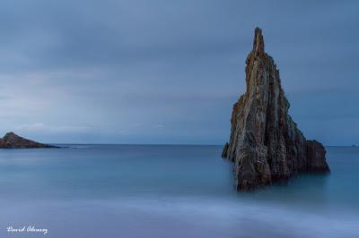 Feliz 2016 Feliz 2016