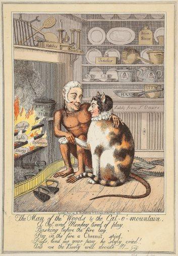 La colección de gatos de Marianne C. Gourary El hombre del bosque y el gato de la montaña, de Theodore Lane (1821)