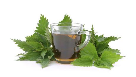 11 excelentes y efectivos remedios caseros para las alergias 11 excelentes y efectivos remedios caseros para las alergias