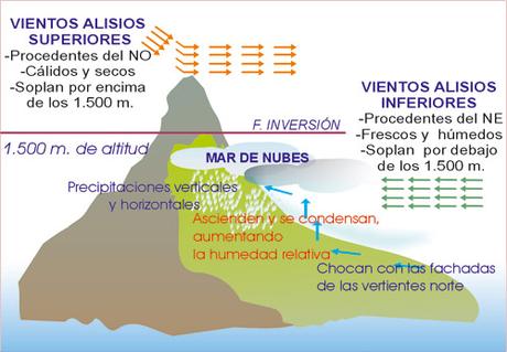 EL CLIMA DE LAS ISLAS CANARIAS