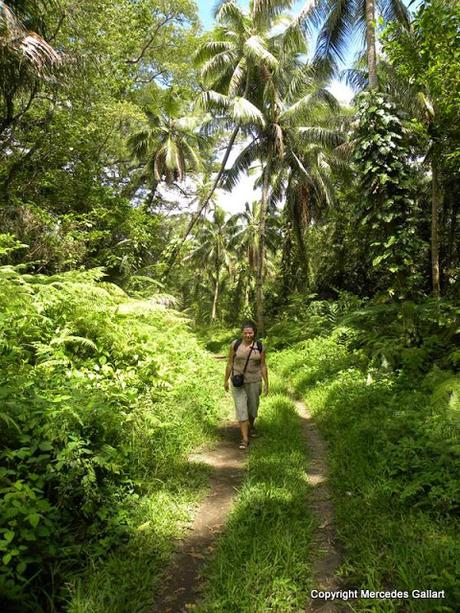 VANUATU: TANNA, LA ISLA DE LA FELICIDAD