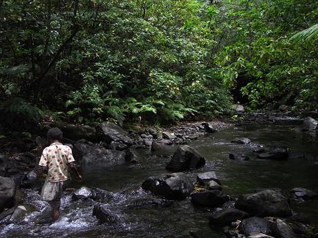 VANUATU: TANNA, LA ISLA DE LA FELICIDAD