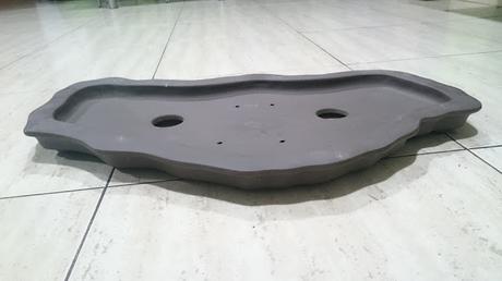 Podas de invierno 1 Podas de invierno 1