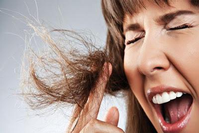 belleza pelo belleza pelo