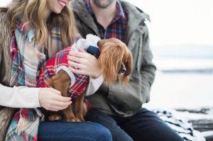 Preboda Invernal. Vacaciones Navideñas. Preboda Invernal. Vacaciones Navideñas.