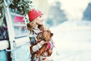 Preboda Invernal. Vacaciones Navideñas. Preboda Invernal. Vacaciones Navideñas.