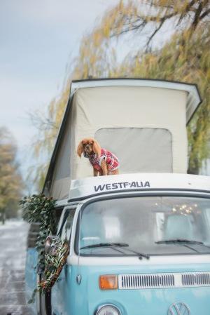 Preboda Invernal. Vacaciones Navideñas. Preboda Invernal. Vacaciones Navideñas.