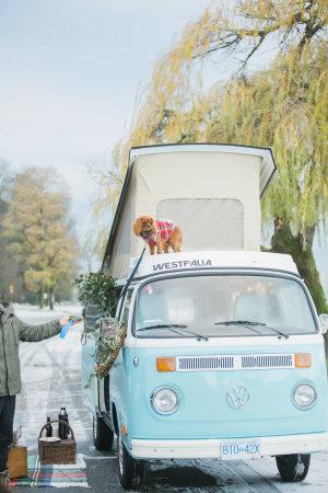 Preboda Invernal. Vacaciones Navideñas. Preboda Invernal. Vacaciones Navideñas.
