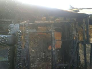 La web invita a ser solidarios: ajedrez con sentimiento ! La web invita a ser solidarios: ajedrez con sentimiento !