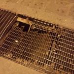 Alcantarillas de San Luis Potosí, una trampa mortal 20160103_233227