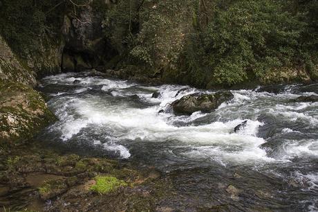 Aguas de Hoznayo