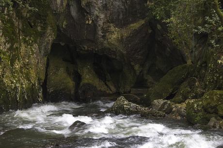 Aguas de Hoznayo, Fuente del Francés Aguas de Hoznayo