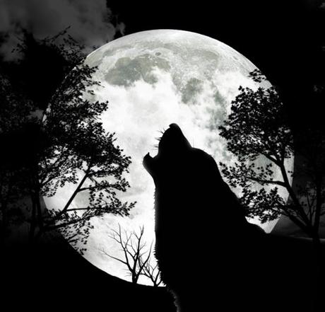 Éste mes podremos ver La Luna Llena del Lobo ¿Qué más nos trae el cielo en enero?