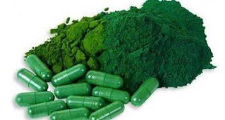 Algas AFA, ricas en proteínas y minerales Algas AFA, ricas en proteínas y minerales