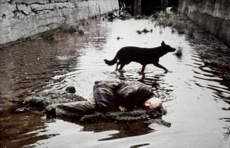 Los filmes de Andrei Tarkovsky han sido liberados en Internet