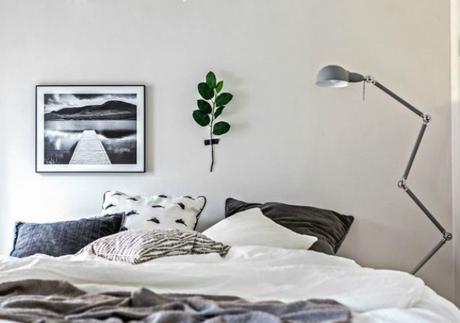 En el 2016....decoración natural En el 2016....decoración natural