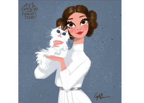 Princesa Leia Princesa Leia