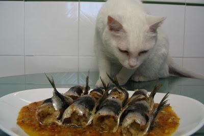 LA CUCHARA CURIOSA CIERRA SUS PUERTAS LA CUCHARA CURIOSA CIERRA SUS PUERTAS