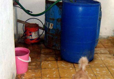 Cuba, una isla que morirá de sed Ciudades-y-poblados-donde-el-abastecimiento-de-agua-es-azaroso.-Foto-P.-Chang-768x534