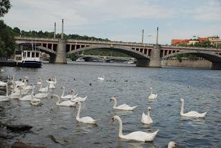 PRAGA, UNA JOYA EUROPEA PATRIMONIO DE LA HUMANIDAD